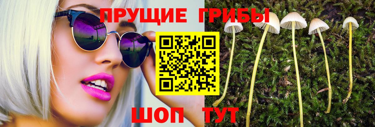 Галлюциногенные грибы мицелий  Галлюциногенные грибы Psilocybe  Киселёвск  Вход с VPN 