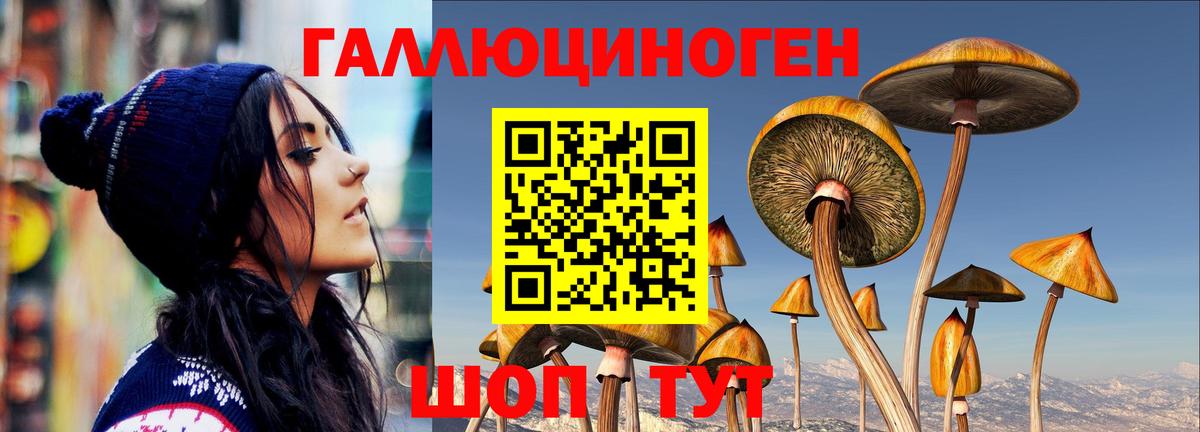 Псилоцибиновые грибы GOLDEN TEACHER Киселёвск