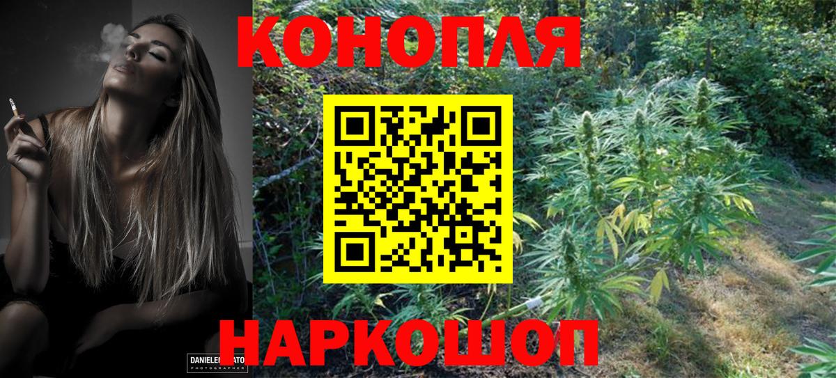 Бошки Шишки планчик  Конопля MAZAR  Киселёвск  Вход с VPN  Каннабис VHQ 